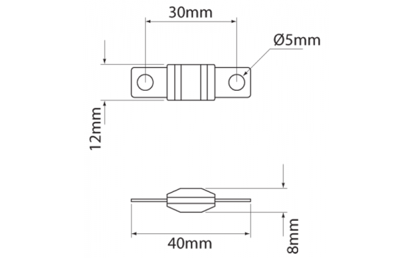 IONNIC AMI60 60A AMI Bolt In Fuse