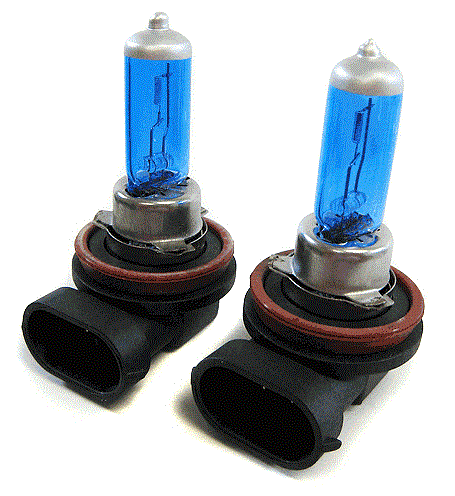 Xenon HID Look VE Commodore Blue White Light Bulbs FREE LEDs H7 H9 H11